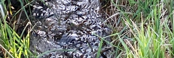 Praxis Bachlauf Wasser
